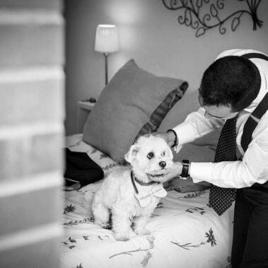 Fotógrafo de bodas en Alcalá de Henares