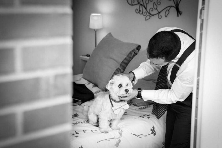 Fotógrafo de bodas en Alcalá de Henares